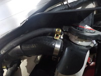 DSCN4254