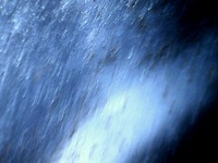 usbcamera20220113210058