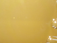 DSCN4301