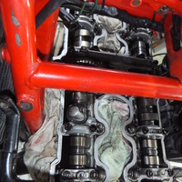 DSCF5774