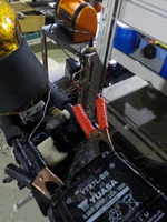 DSCN5369