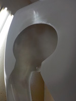 DSCN5424