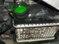 DSCN3584