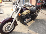 DSCI0005