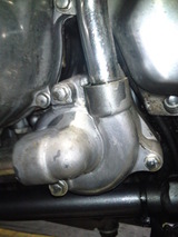 balius20111007ws (40)