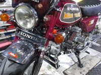 DSCN5455
