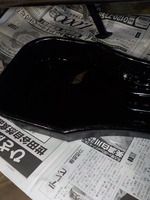 DSCN8759