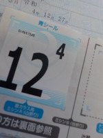 DSCN4292