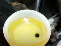 DSCN1682