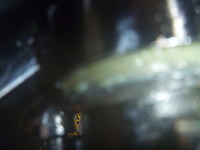 P1160059