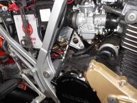 DSCN7901