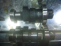 P1170397
