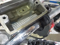 DSCN6591