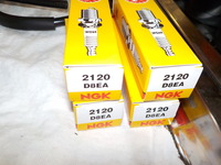 DSCN0912