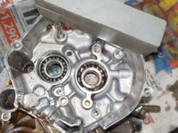 DSCN0365