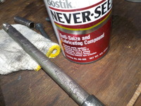 DSCN6453
