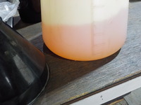 DSCN8247