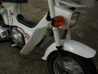DSCN7520