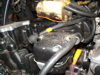 DSCN3648