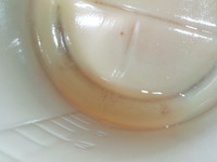 DSCN3668