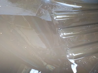DSCN4864