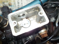 DSCN8464