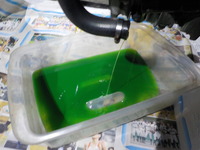 DSCN1261
