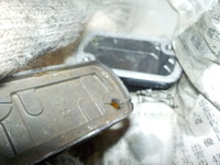 DSCN0308