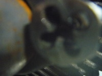 P1030305