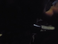 P1010375