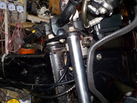 DSCN5952