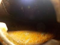 DSCN7696