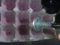 P1170408
