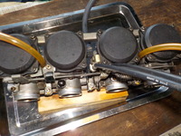 DSCN8622