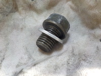 DSCN5952