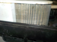 DSCN7773