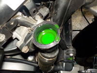 DSCN5347