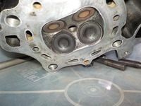 DSCN0742