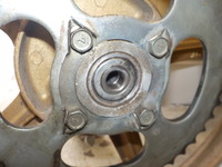 DSCN6431