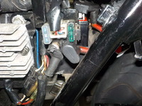 DSCN5987