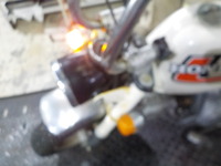 DSCN6379