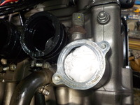 DSCN4770