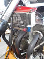 DSCN6881