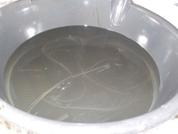 DSCN7419