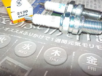 DSCN8600