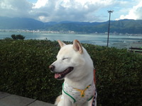 20130802-06  (5)