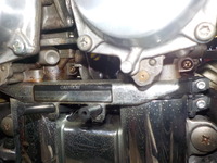DSCN6220