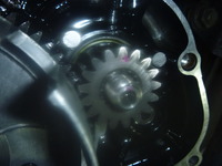 P1160681