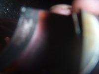 P1140125