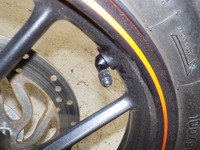 DSCN5194